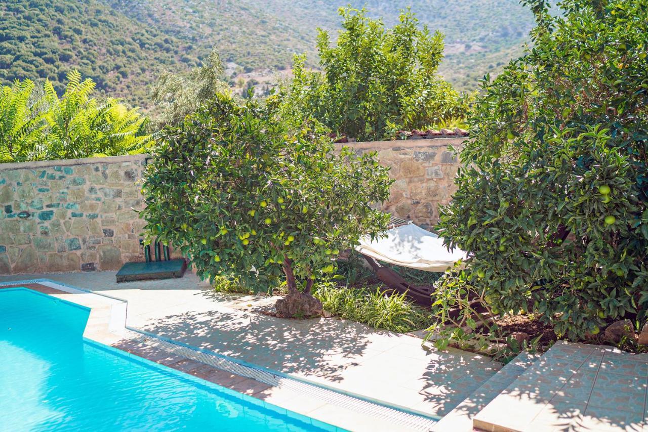 Villa Aleva Bali  Екстериор снимка
